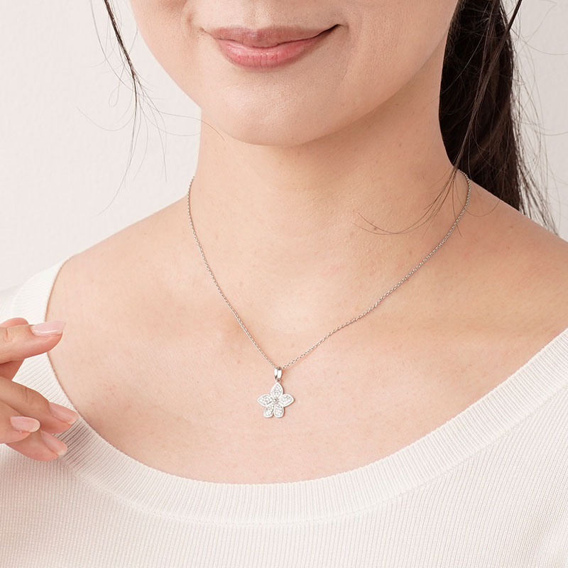 agapeコレクション Agapanthus