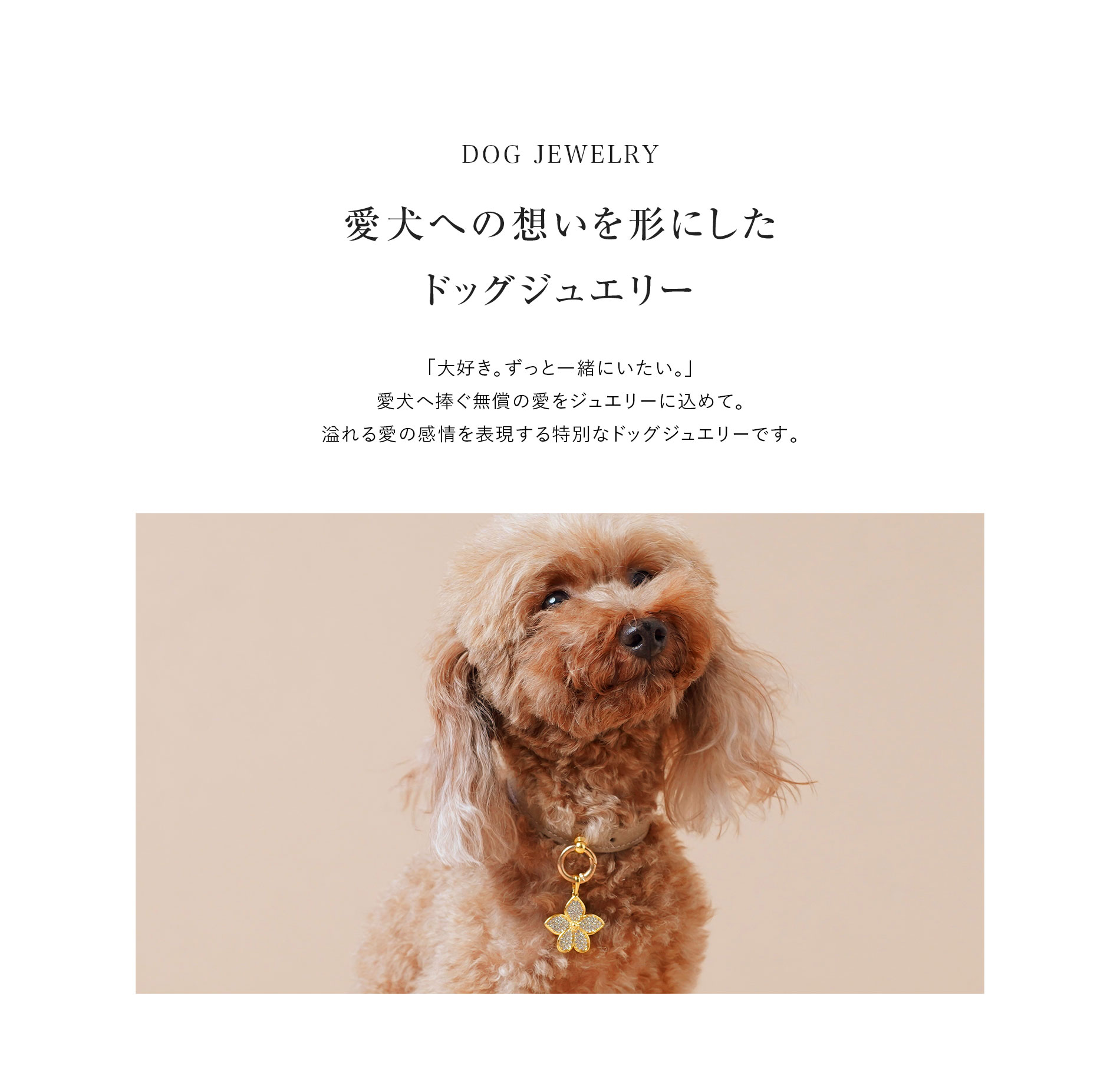 愛犬への想いを形にしたドッグジュエリー