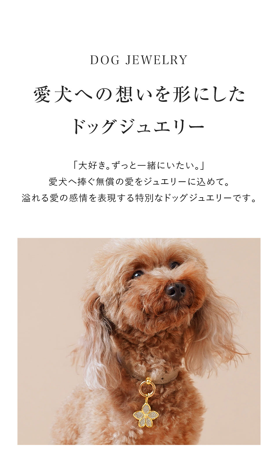 愛犬への想いを形にしたドッグジュエリー