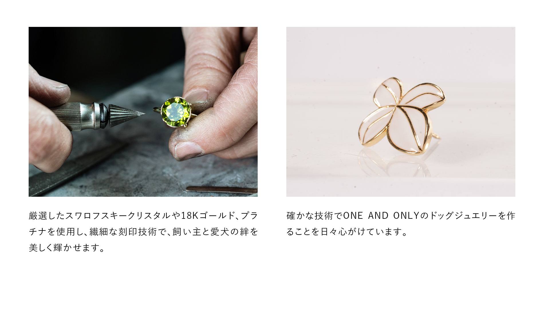 MADE IN JAPAN