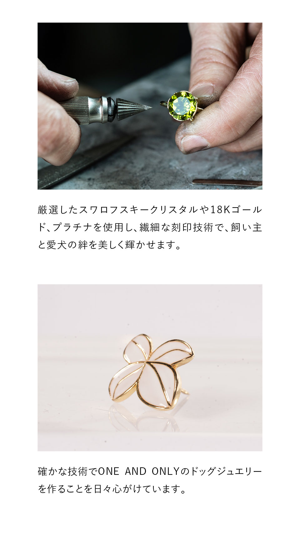 MADE IN JAPAN