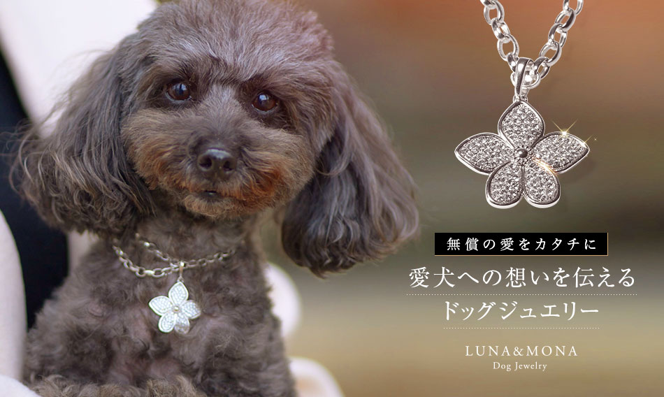 愛犬への想いを伝えるドッグジュエリー