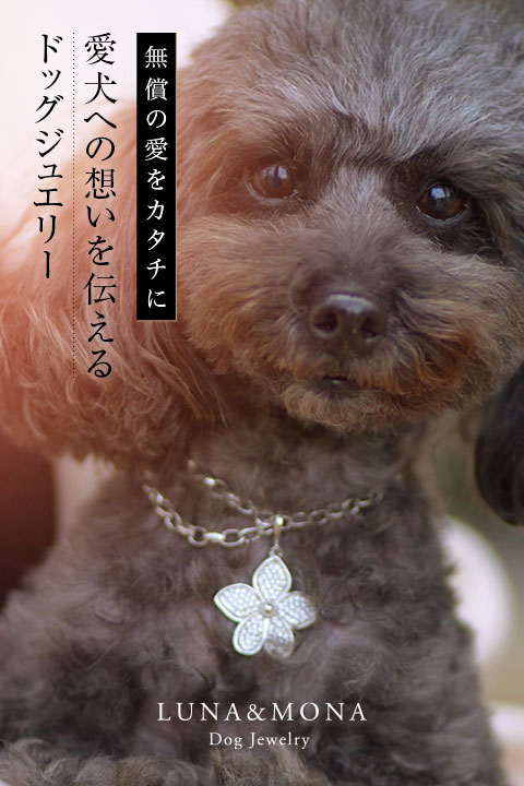 愛犬への想いを伝えるドッグジュエリー