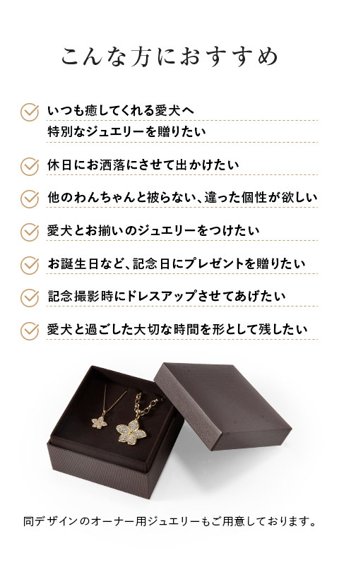 こんな方におすすめ
