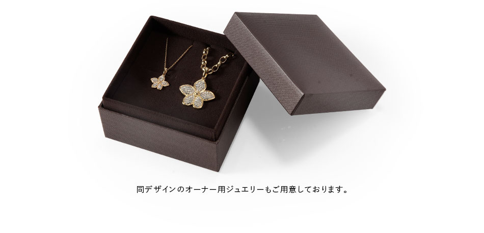 ギフトボックス入り
