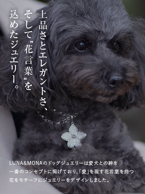 花言葉を込めたジュエリー