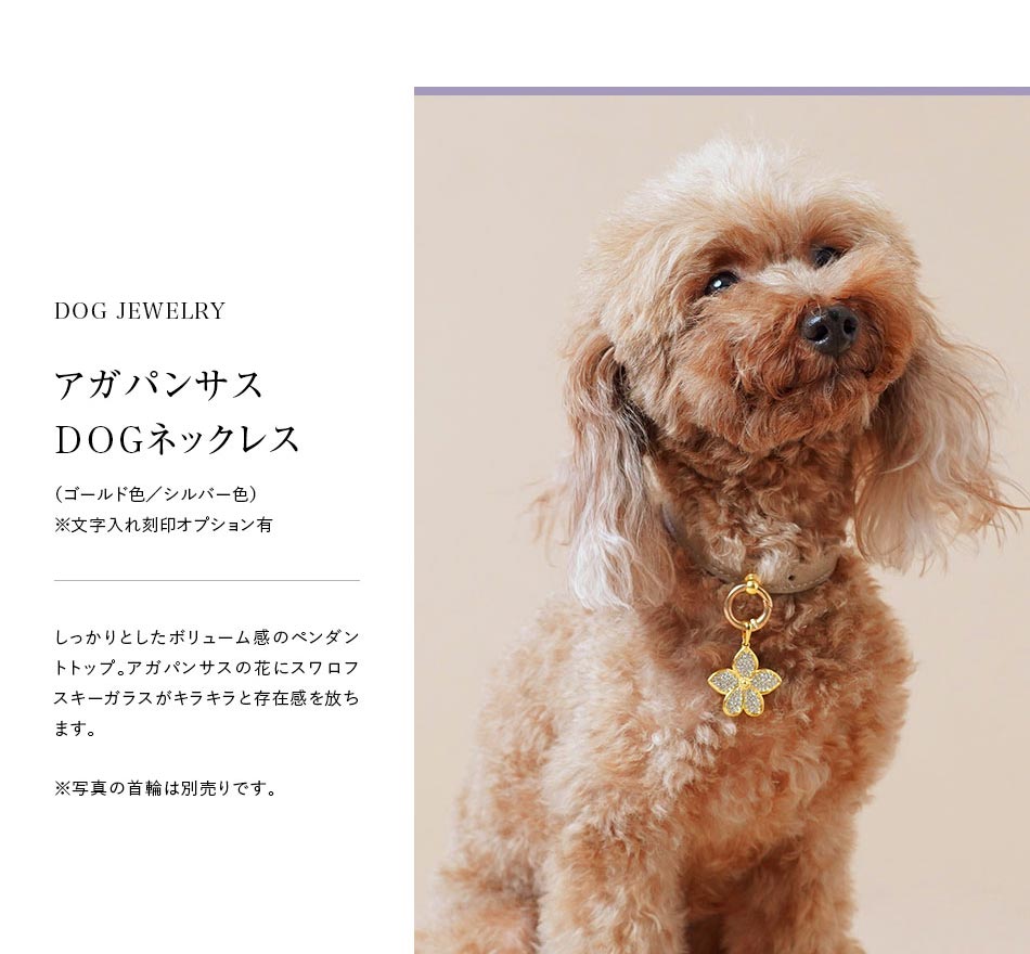 アガパンサス ドッグネックレス