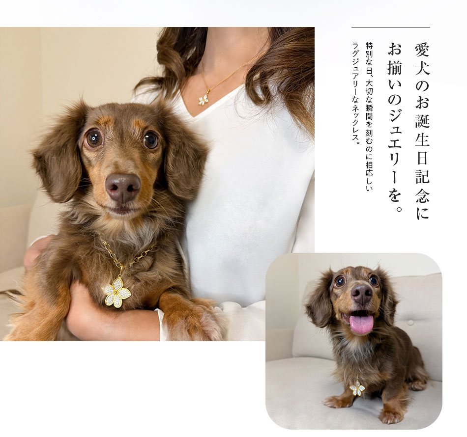 ご購入者様の声