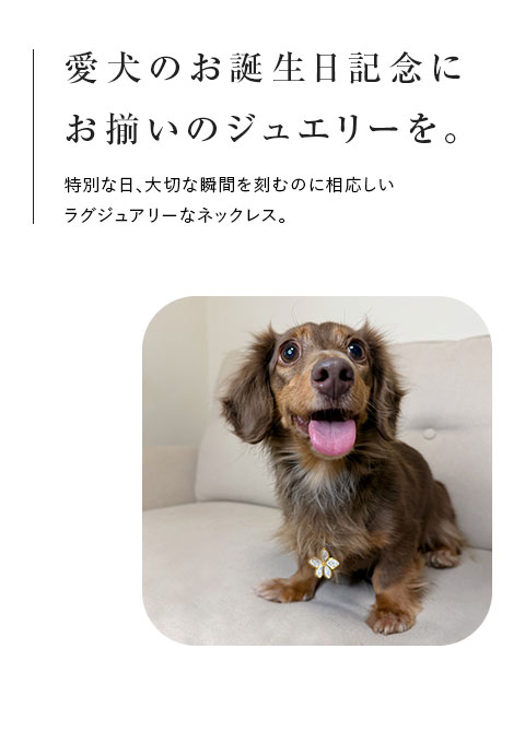 ご購入者様の声