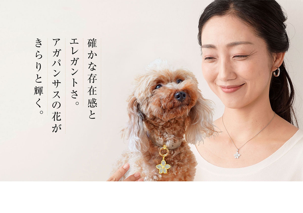 確かな存在感とエレガントさ