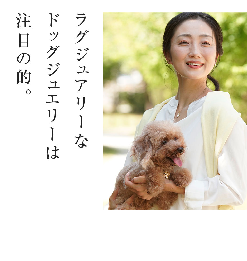 街の注目の的