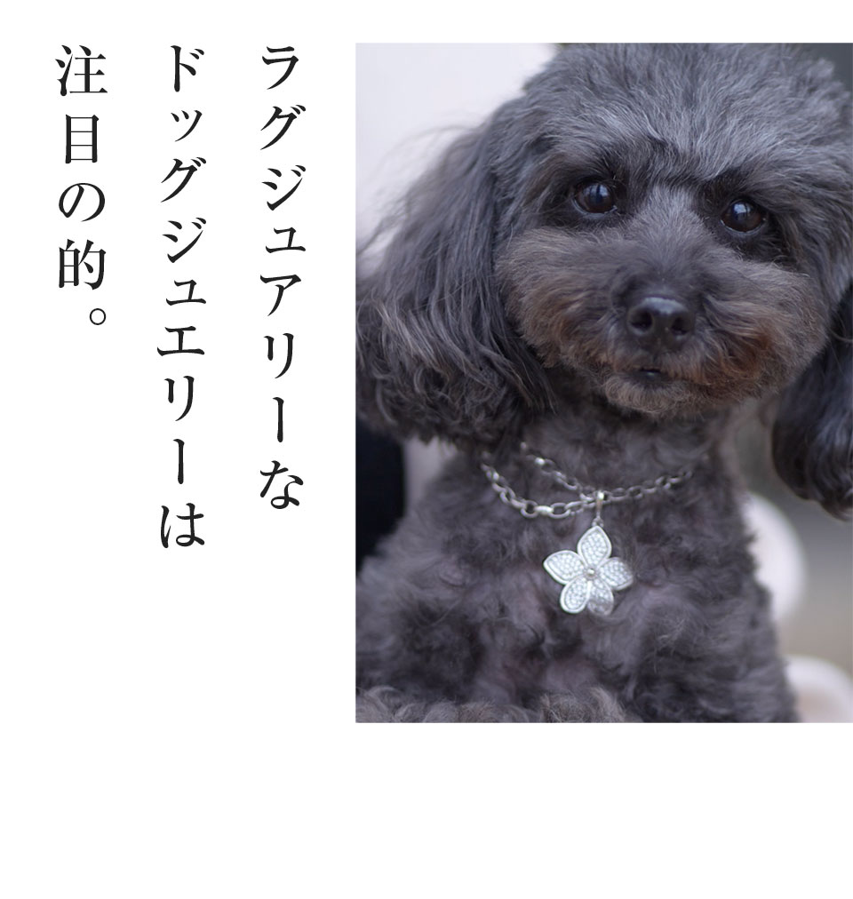 街の注目の的
