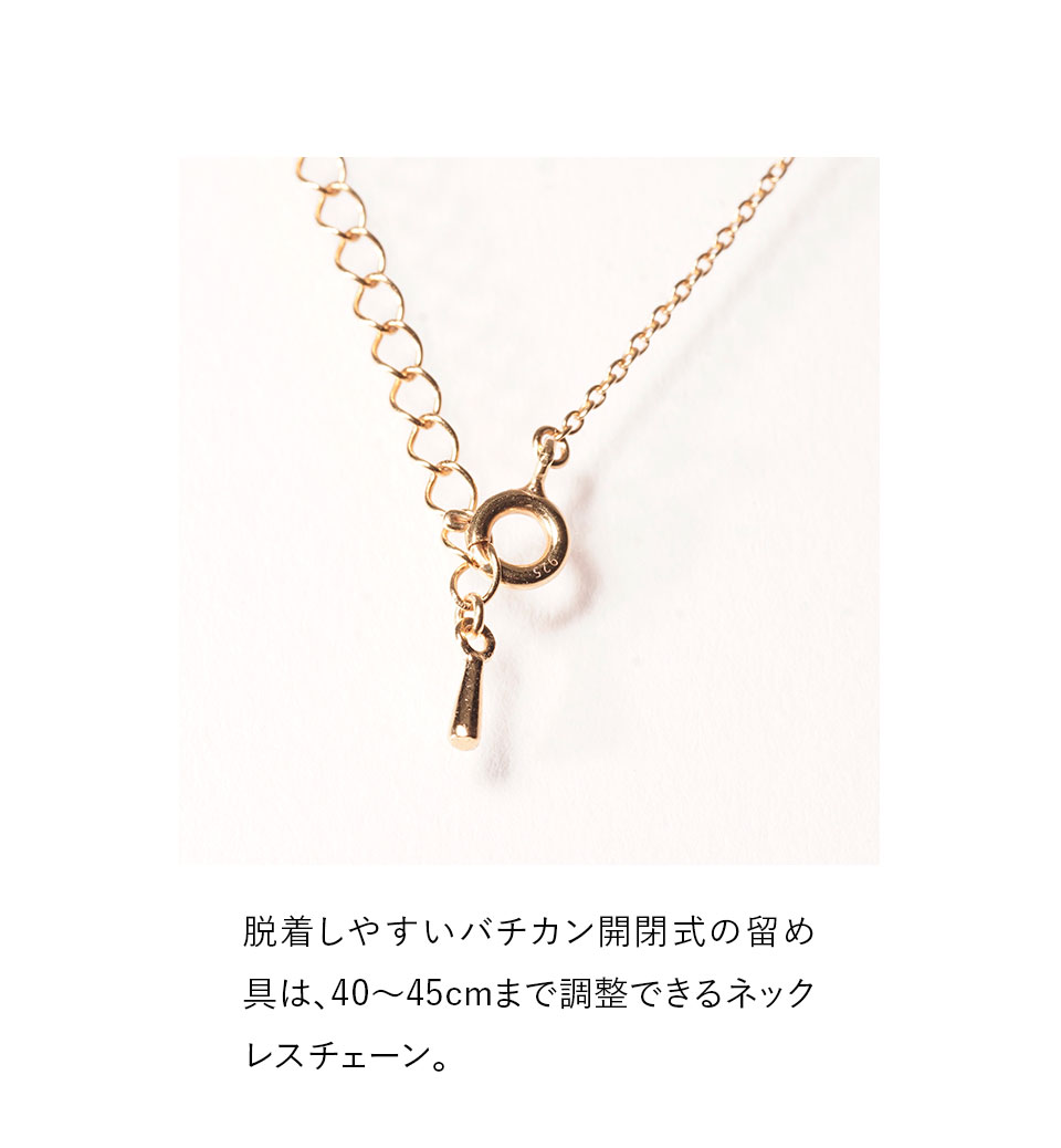 アガパンサス オーナーネックレス 特徴